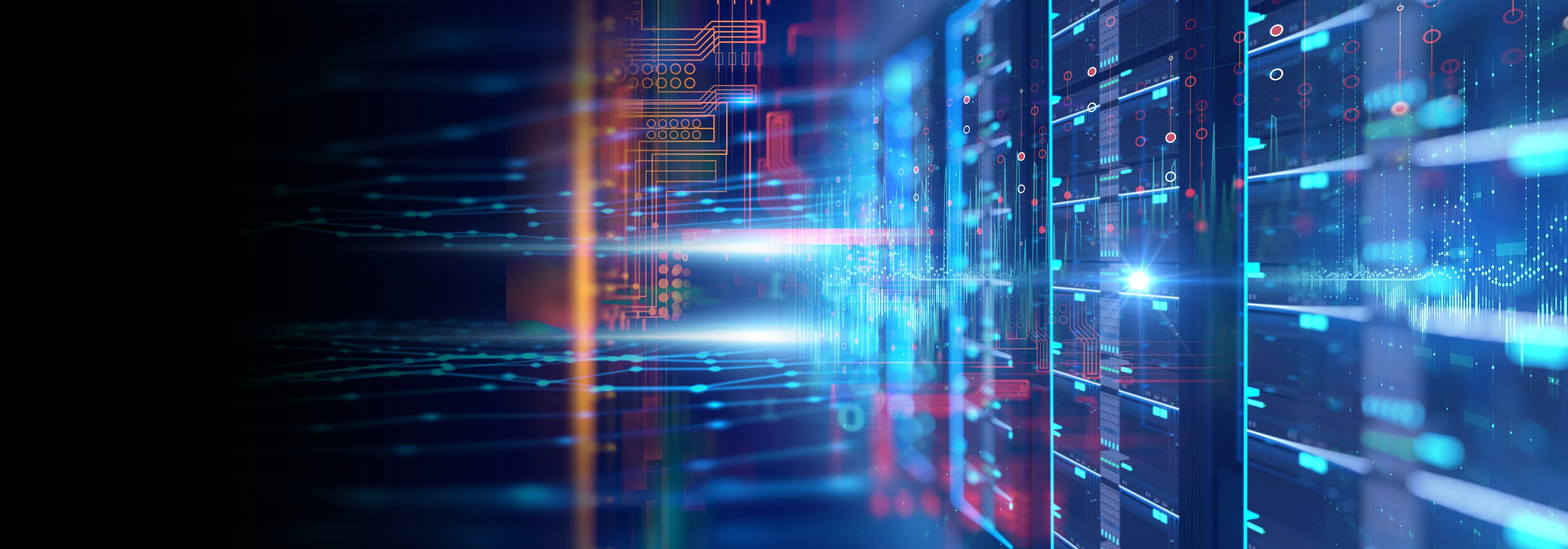 A digital server display with speed lines indicates the fast Usenet access offered by Newsgroup Ninja.
